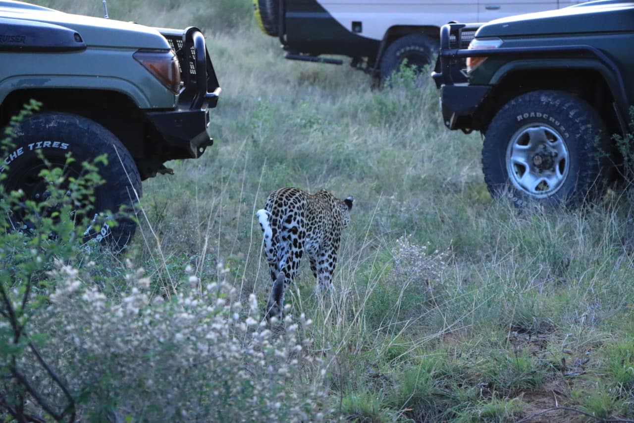 Samburu National Reserve