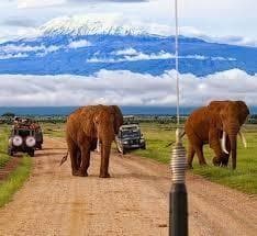 Goodbye Amboseli